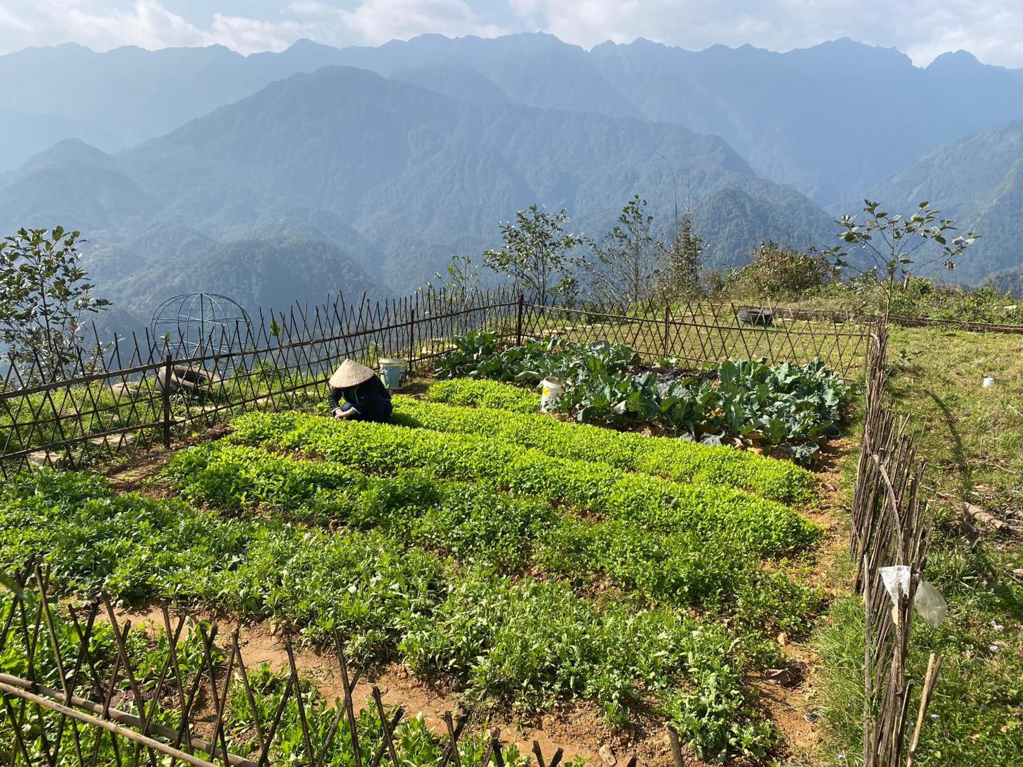 Homestay 1579 Sapa Esterno foto